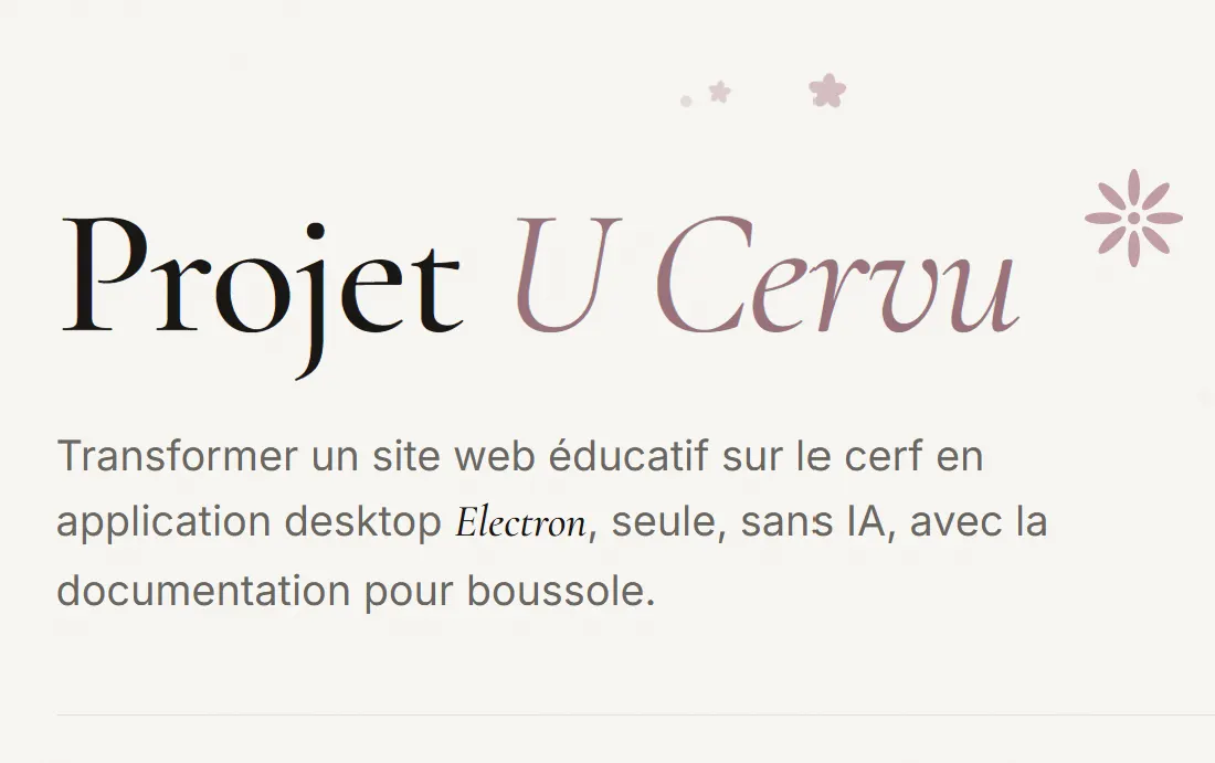 image du site de présantation du projet